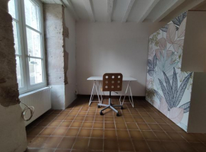 Appartement Blois centre ville